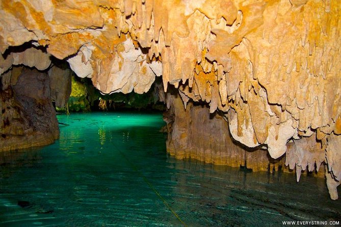 Snorkeling with Caribbean fish and private cenote exploration - Price and Value: Is $169 a Good Deal for This Half Day?