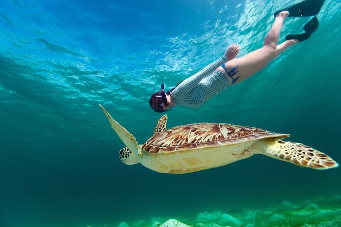 Snorkeling with Turtles and Cenotes - The 7:00 AM Flow: Pickup, Timing, and a Full Day Plan