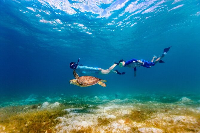 Snorkeling with Turtles and Cenotes - What to Bring (and How to Stay Comfortable)
