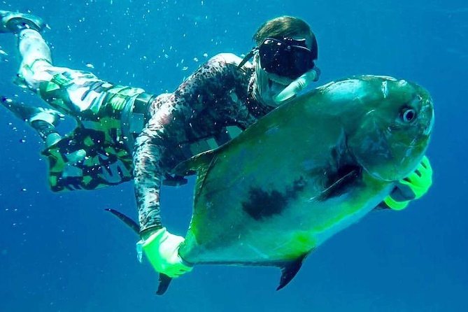 Spearfishing Playa del Carmen or Tulum - A 4-hour Caribbean plan that’s built around real conditions