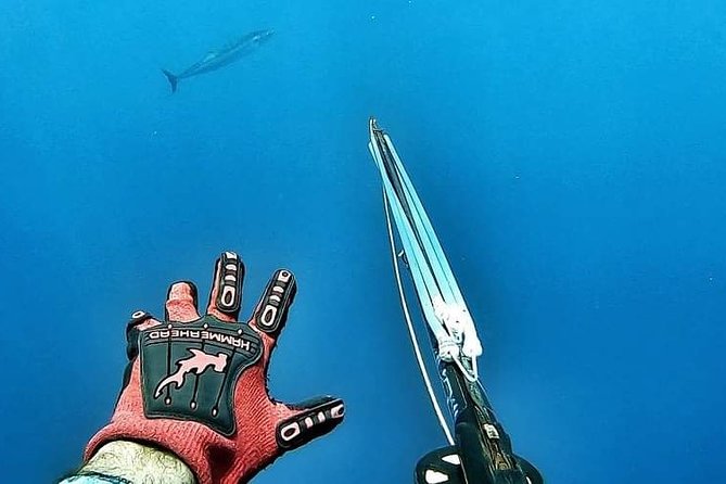 Spearfishing Playa del Carmen or Tulum - Gear notes: fins and blisters can be the difference