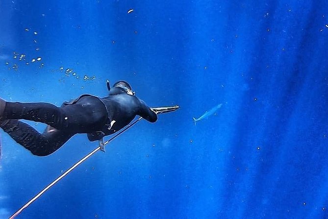 Spearfishing Playa del Carmen or Tulum - Price and value: $400 for up to 2, and how to judge it