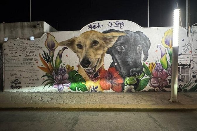 Street Art & Cemetery Cultural Tour - half day - Logistics that actually matter (and a few smart tips)