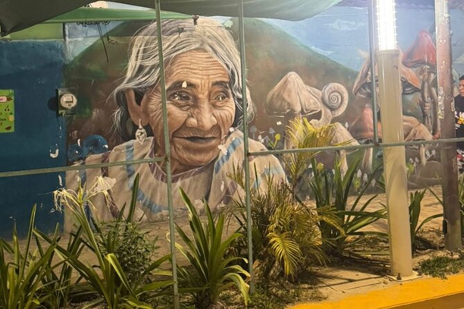 Street Art & Cemetery Cultural Tour - half day - Street art and graffiti walks: the stories behind the walls
