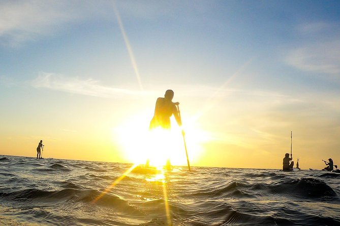 Sunrise Session - The #1 Paddleboard Tour On The Caribbean Sea - First step: the Fusion Beach meeting point and quick start setup