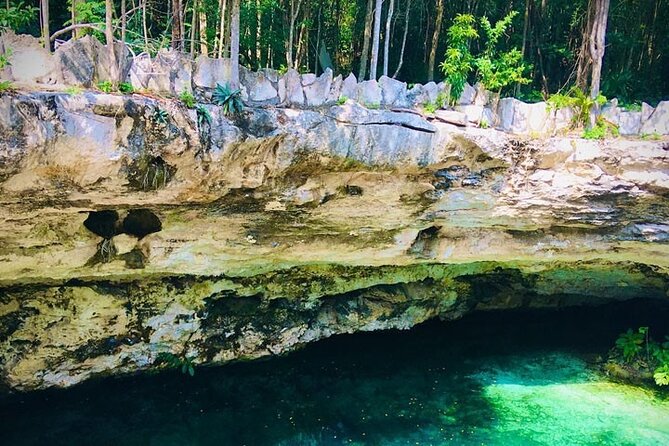 Swim in 4 different Cenotes in Casa Tortuga Park - Timing the day: 4 to 8 hours, and when to go for calmer photos