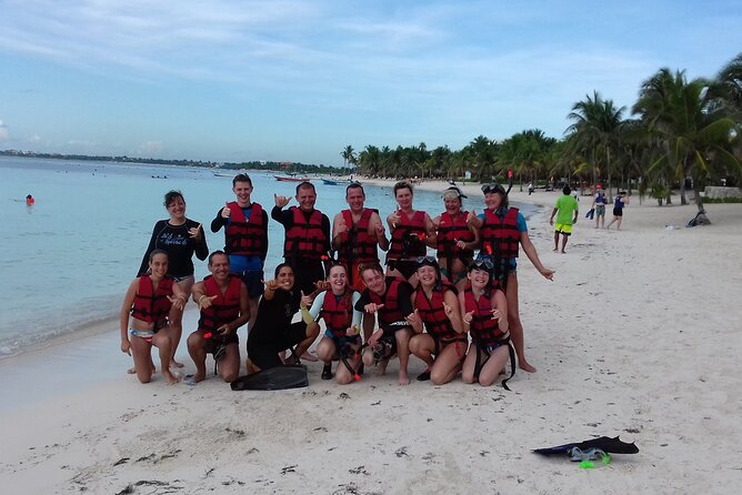 Swim with akumal turtles - Turtle protection in Akumal Bay: why your briefing matters