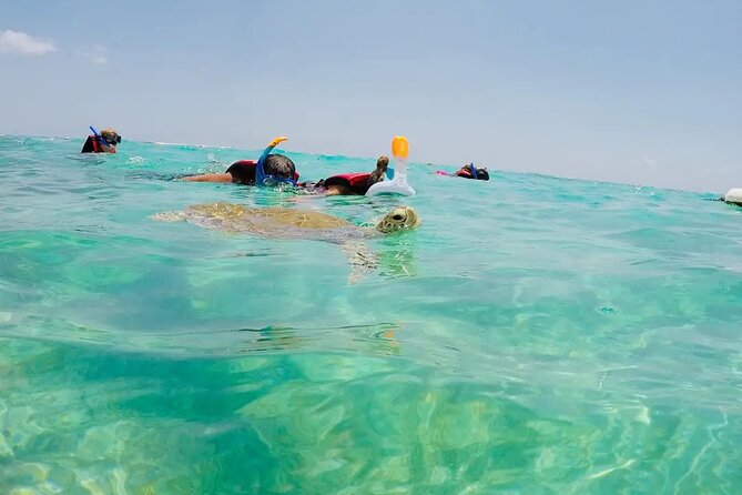 Swim with akumal turtles - Manzano meeting point, lockers/showers, and beach time afterward
