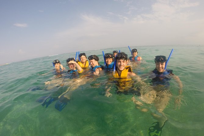 Swim with sea turtles - Akumal Sea Turtles: What This Trip Feels Like in Real Life