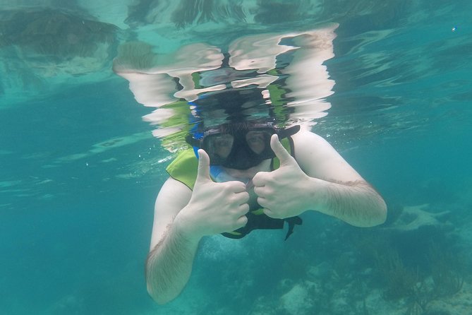 Swim with sea turtles - Price and Value: Is $45 Worth It for Sea Turtle Snorkeling?