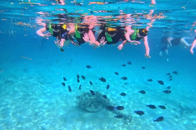 Swim with Turtles in Akumal + GoPro Photo Session - GoPro Photo Session: Getting Photos Without Having to Manage a Camera