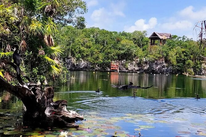 Tankah Mayan Village Zipline Nature Park - Zip-Lining Over a Lagoon: The Main Event