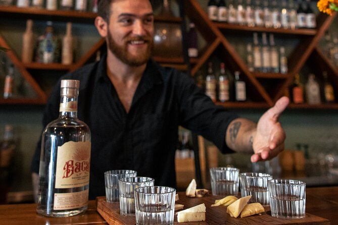 Tequila and Mezcal Tasting in Tulum with Cheese Pairing - Tequila and mezcal tasting built around real comparisons