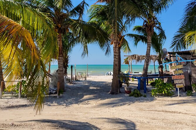 The best of Holbox from Tulum - Isla de la Pasion: wildlife spotting with a short attention span