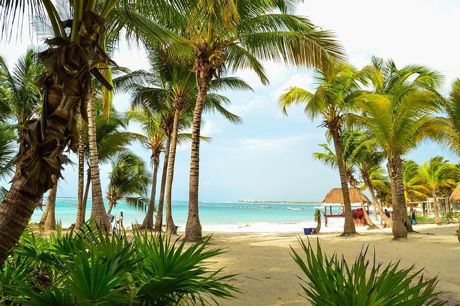 Tortugas & Cenotes Snorkel With Turtles Tour - Reef snorkeling and turtle time: what you’re really paying for
