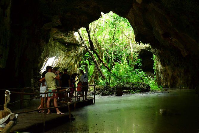 Tortugas & Cenotes Snorkel With Turtles Tour - Should you book Tortugas & Cenotes Snorkel With Turtles?