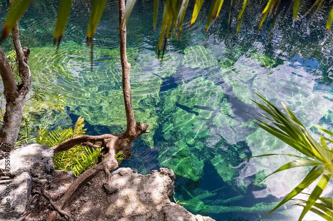 Tour 4 Cenotes Casa Tortuga Tulum. Food + Zipline. Includes Pickup. - The Cenote Route: Campana, Jaguar, 3 Zapotes, Wisho