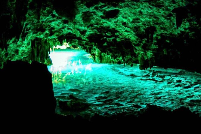 Tour Cenote Santa Cruz - The Guide’s Ecology Lesson: Flora, Fauna, and Limestone Formations
