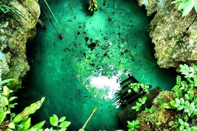 Tour Cenote Santa Cruz - Transfers, Group Size, and the Feel of 2 to 2.5 Hours