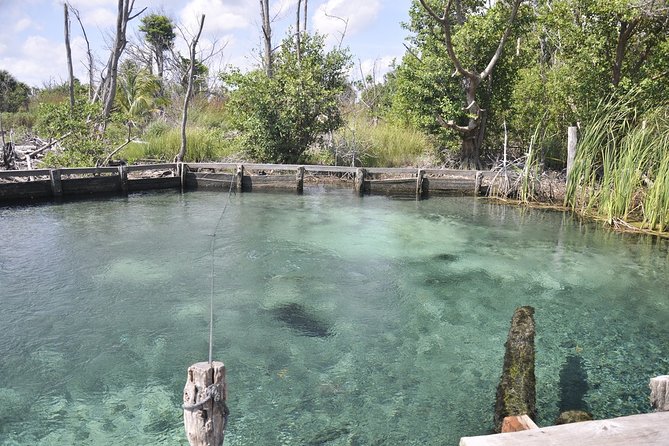 Tour Holbox - Two Island & Cenote from Cancun & Playa Del Carmen - Isla de la Pasión / Isla Pájaros sandbars: shallow water, birds, and quiet shoreline