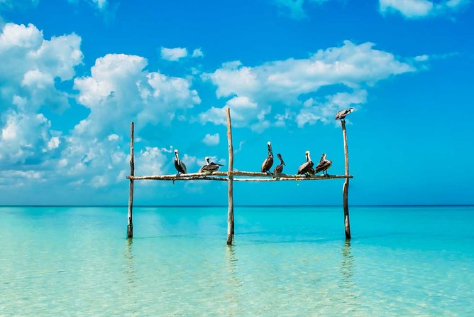 Tour Holbox - Two Island & Cenote from Cancun & Playa Del Carmen - Pickup and meeting points: Cancun, Playa del Carmen, and the Tulum exception