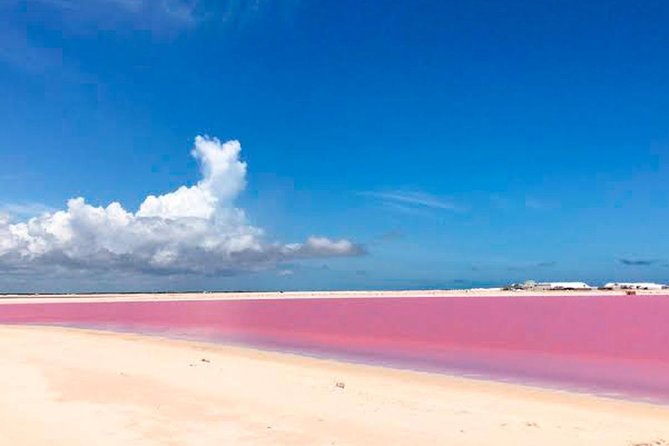 Tour Las Coloradas & Rio Lagartos only from Tulum - Price and value: $110 plus government fees