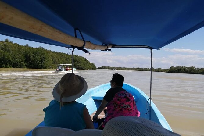 Tour Las Coloradas & Rio Lagartos only from Tulum - Rio Lagartos Biosphere Reserve: mangroves, lagoons, and wildlife habitat