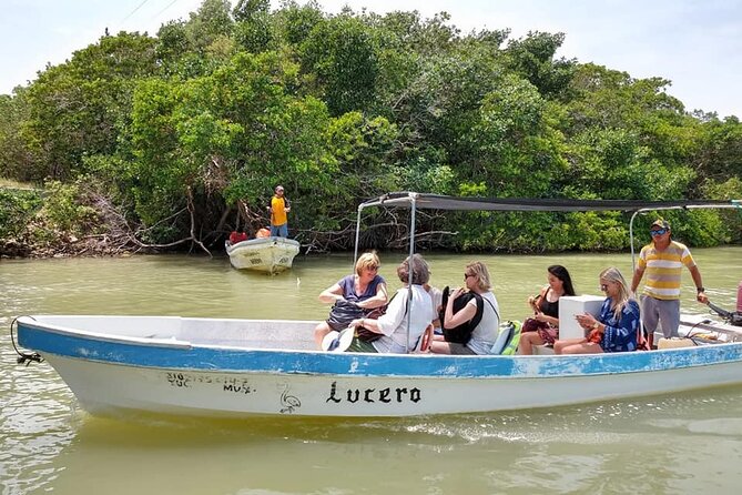 Tour Las Coloradas & Rio Lagartos only from Tulum - The clay-and-rinse moment: bring a swimsuit