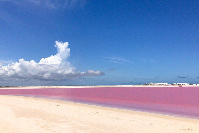 Tour Las Coloradas & Rio Lagartos only from Tulum - Food and timing: lunch choice, water, and a full day pace