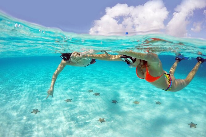 Tour to Cozumel by Catamaran with Snorkeling and Buffet Lunch - Snorkeling at Palancar Reef: coral, fish, and timing