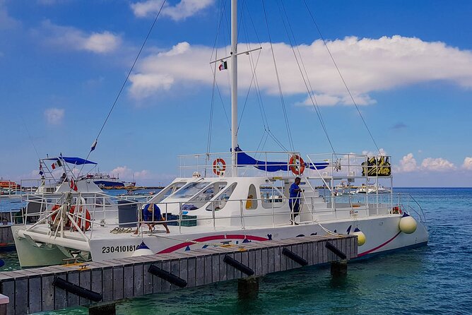Tour to Cozumel by Catamaran with Snorkeling and Buffet Lunch - El Cielo Starfish Sanctuary: clear water, strict rules