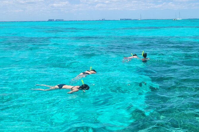 Tour to Cozumel by Catamaran with Snorkeling and Buffet Lunch - Back to Cozumel town and the boardwalk stroll