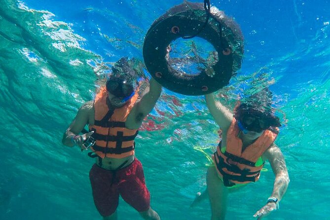 Tour to swim with turtles - Guides and Safety: How They Make Turtle Time Work for Beginners