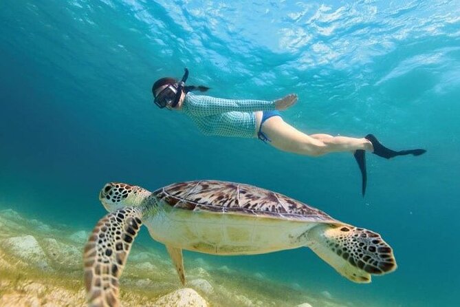 Tour to Tulum and cenote with swimming with turtles from Riviera Maya - Lunch and small comforts: what’s included and what you must plan for