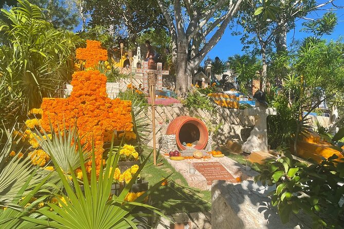 Tour Xcaret All Inclusive from Playa del Carmen - Included Transportation - Who this tour fits best (and who should consider a different plan)