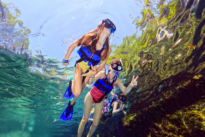 Tour Xel-Ha & Coba Ruins - One Day from Riviera Maya & Cancún - Coba’s Jungle Bike Ride and Nohoch Mul Views