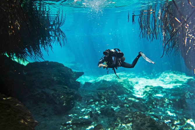 Try dive in beautiful Casa cenote for 2 people - Key Highlights Worth Knowing