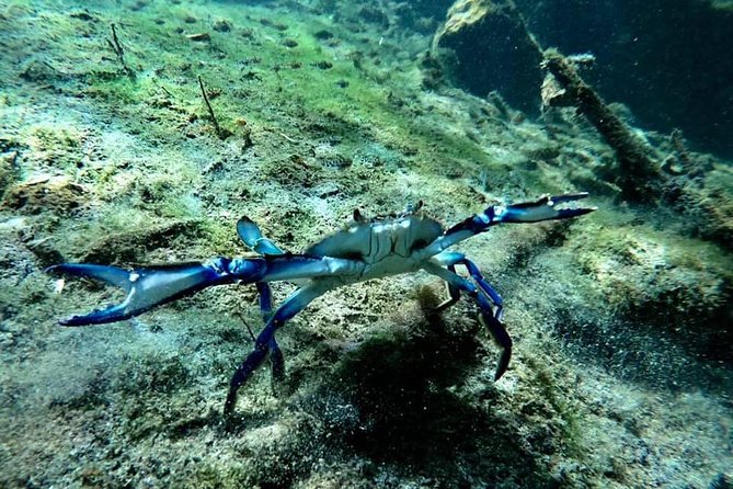 Try dive in beautiful Casa cenote for 2 people - The Price: What $190 Per Person Really Buys
