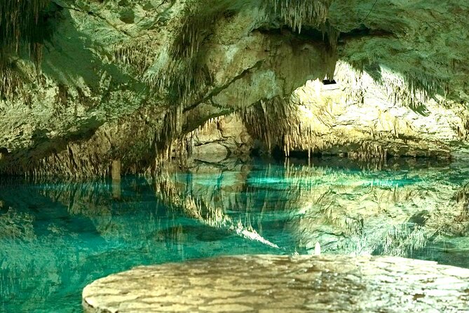 Tulum + 2 Cenotes & Authentic Taco Adventure - Price and logistics: where the $260 value really comes from