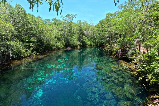 Tulum + 2 Cenotes & Authentic Taco Adventure - Who should book this and who might skip it
