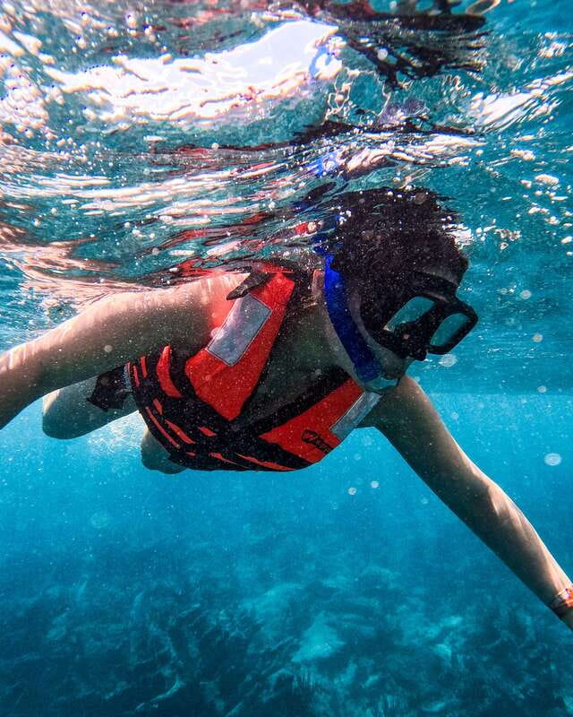Tulum: 2-Hour Snorkeling in Two Spots of Tulum's Reef - Snorkel stop two: a second reef view, sometimes quieter water