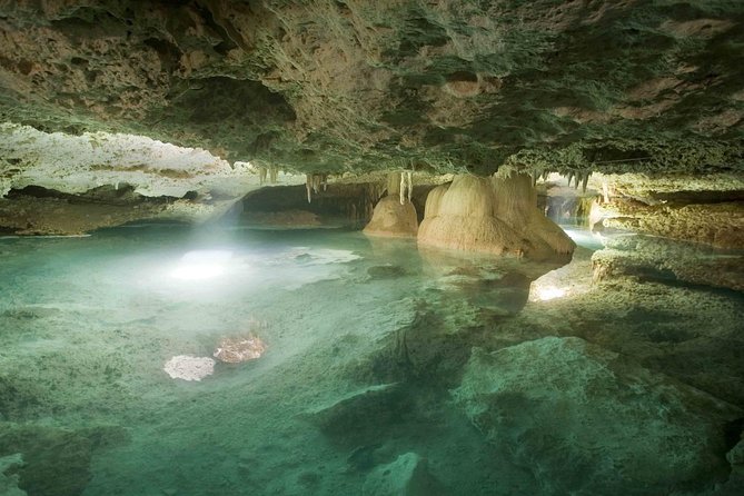 Tulum Adventure (archeological zone-Atv-ziplines-cenote-lunch-drinks-rappel) - Cenote swim in dark water: where the day turns unforgettable