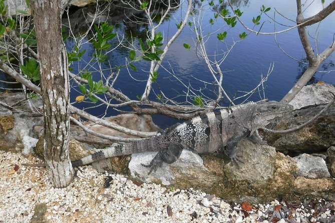 Tulum Adventure (Private, Full Day) - Entering The Tulum Ruins (Beachfront) for About Two Hours