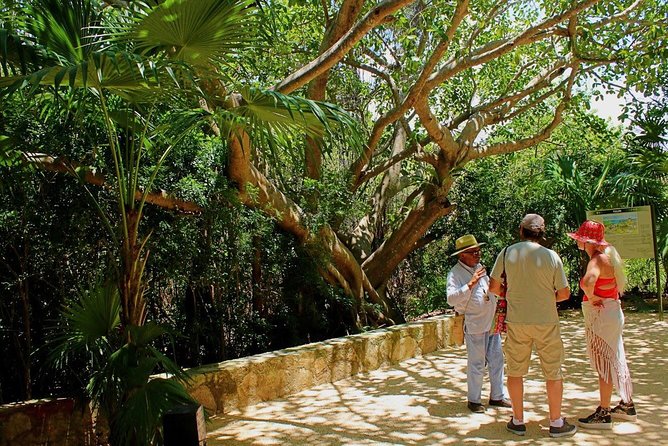 Tulum and Cenote Casa Tortuga Day Trip - Packing for a Sun + Water Day in Tulum