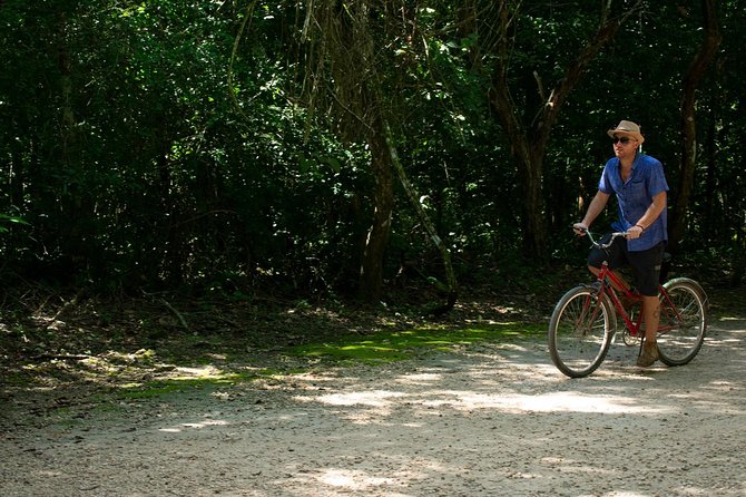 Tulum and Coba with Cenote Swim and Lunch from Cancun - Lunch Buffet and Quinta Avenida: Know When You’ll Eat