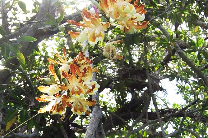 Tulum Archaeological Site & Sian Ka'an Muyil Tour from Tulum - Price and Value: Is $169 Worth It?