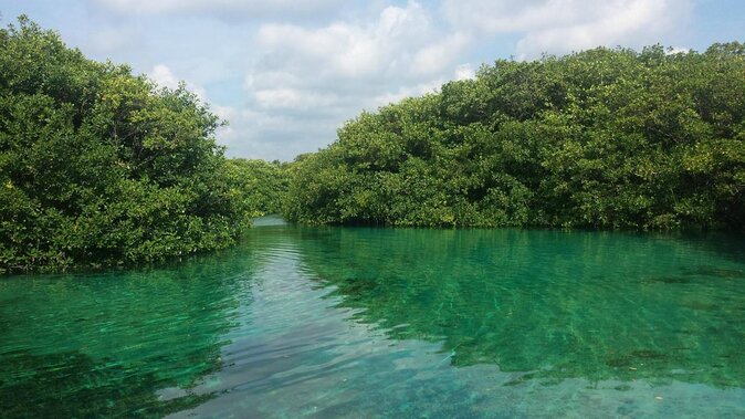Tulum Area Experiences Guided 2 Tank Scuba Dive Casa Cenote & Barrier Reef-Lunch - Key things to know before you go