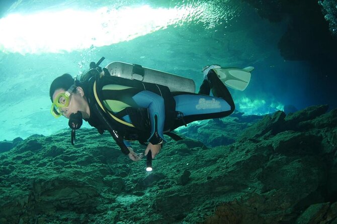 Tulum Area Experiences Guided 2 Tank Scuba Dive Casa Cenote & Barrier Reef-Lunch - Price and what $209.95 really buys you