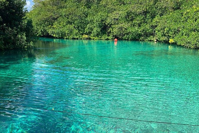 Tulum Area Experiences Guided 2 Tank Scuba Dive Casa Cenote & Barrier Reef-Lunch - Mayan lunch in the middle: cochinita, fruit, and real fuel