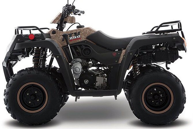Tulum Area Experiences Guided ATV Tour to 3 Cenote's, Snorkel/Swim & Local Lunch - The Big Picture: ATV Time Plus Three Different Cenotes